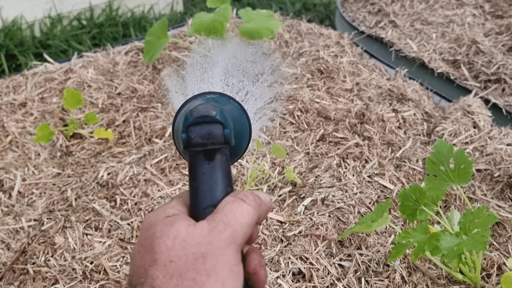 Water Well and Protect the Bed