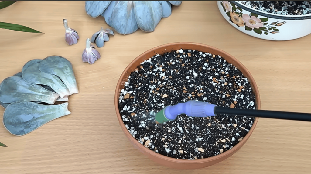 Step 6 Prepare and Moisten Soil